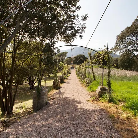 Apartment Le Domaine Saint Francois Le Moulin 2 Ajaccio (Corsica)