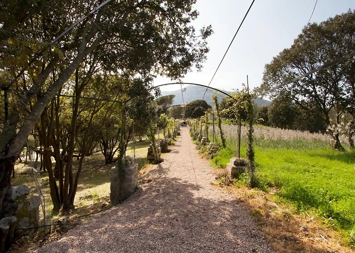 Apartment Le Domaine Saint Francois Le Moulin 2 Ajaccio (Corsica)